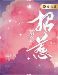蓄意招惹小说免费阅读