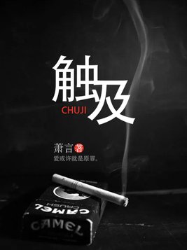 触及是什么意思