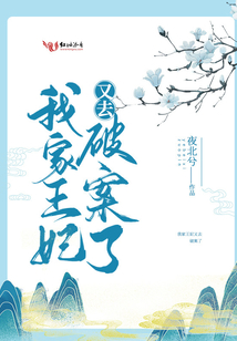 我家王妃又去破案了