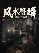 风水赘婿陆尘玲珑免费读