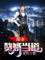 赘婿当道最新版