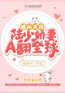 婚从天降:陆少请关照免费阅读