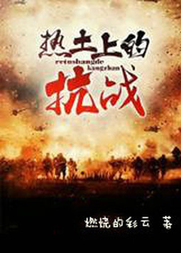 热土上的抗战 小说