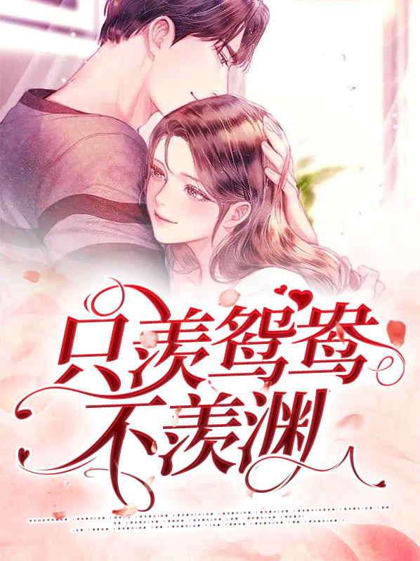 不羡鸳鸯不羡仙哪首歌