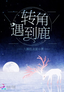 转角遇到鹿小说免费阅读全文