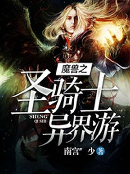 魔兽之圣骑士异界游