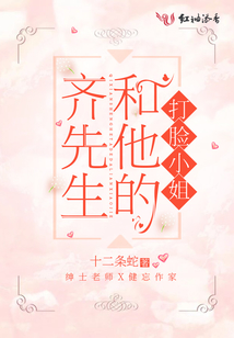 齐先生和他的打脸小姐