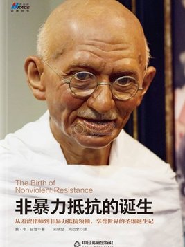 非暴力抵抗的利与弊