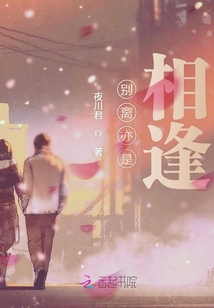 相逢亦别离小说