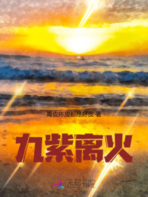 九紫离火运是指哪些行业