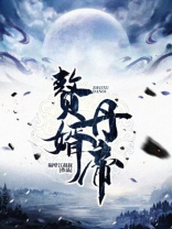 赘婿丹帝简介