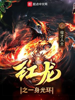 红龙之一身光环 小说