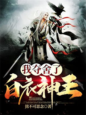 我夺舍了白衣神王小说