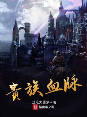 贵族血脉小说