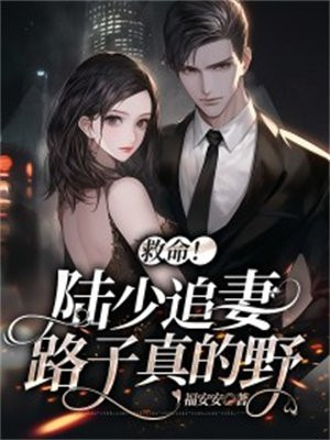 陆少追妻超给力