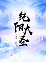 纯阳大圣 小说