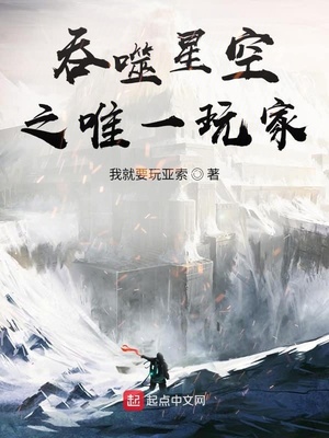 吞噬星空之唯一玩家 小说