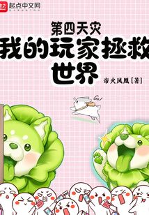 第四天灾玩家小说