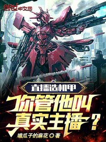 直播造机甲类的小说