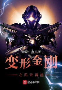 变形金刚之风云再起 小说