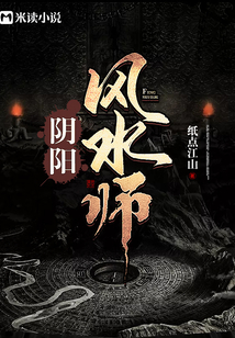 阴阳风水师TXT