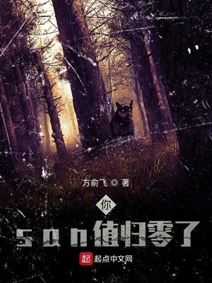 你san值归零了网盘
