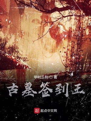 古墓签到王 最新章节 无弹窗