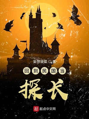 民国奇探乔探长身份