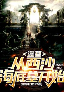 盗墓:从西沙海底墓开始! 小说