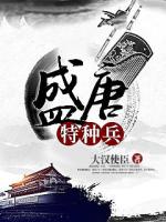 盛唐特种兵TXT