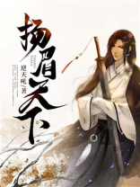 小说扬眉