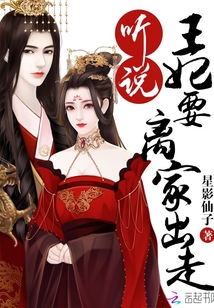 皇叔，王妃又翻墙了