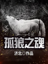 孤之狼小说作品集