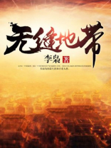 无缝地带小说txt