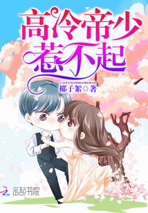 高冷帝少，惹不起
