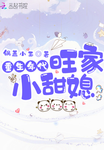 重生年代旺家小甜媳奇书网