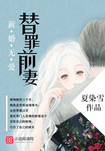 新婚无爱，替罪前妻