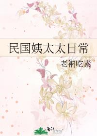 民国娶姨太太办理吗