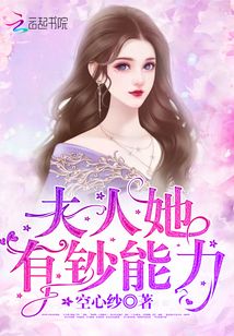 夫人她有钞能力类似的小说