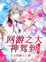 网游之大神驾到,一剑倾心