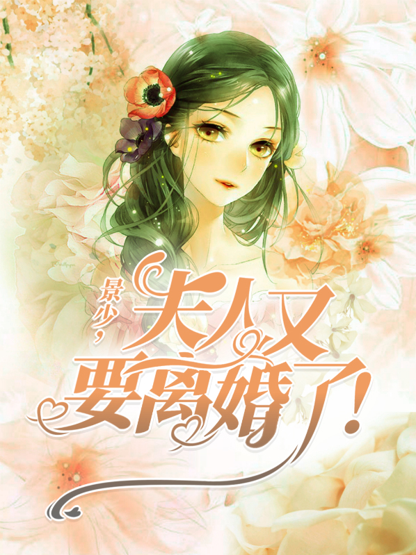 景少,夫人又要离婚了 小说