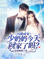闪婚成宠:少奶奶今天回家了吗? 笔趣阁