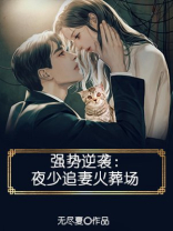 强势逆袭:夜少追妻火葬场
