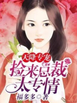 天降专宠:捡来总裁太钟情 小说
