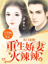 重生名门佳妻免费阅读