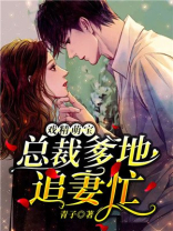 戏精萌宝总裁爹地追妻忙 小说