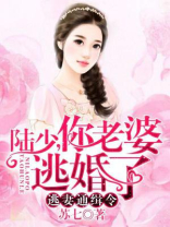 陆先生,你命里缺我全文免费阅读