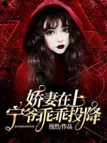 主角叫宁娇娇的小说