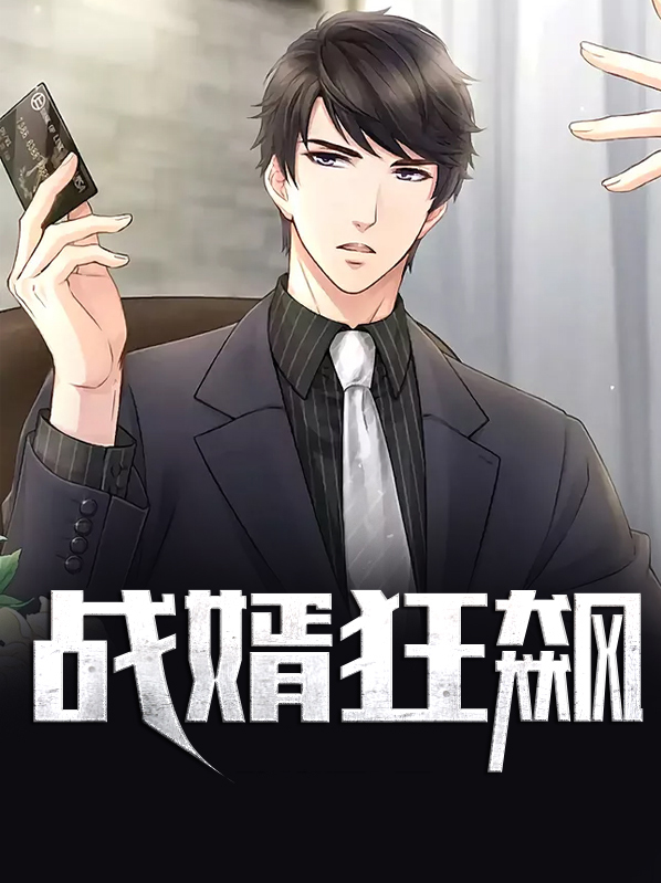 战婿狂飙