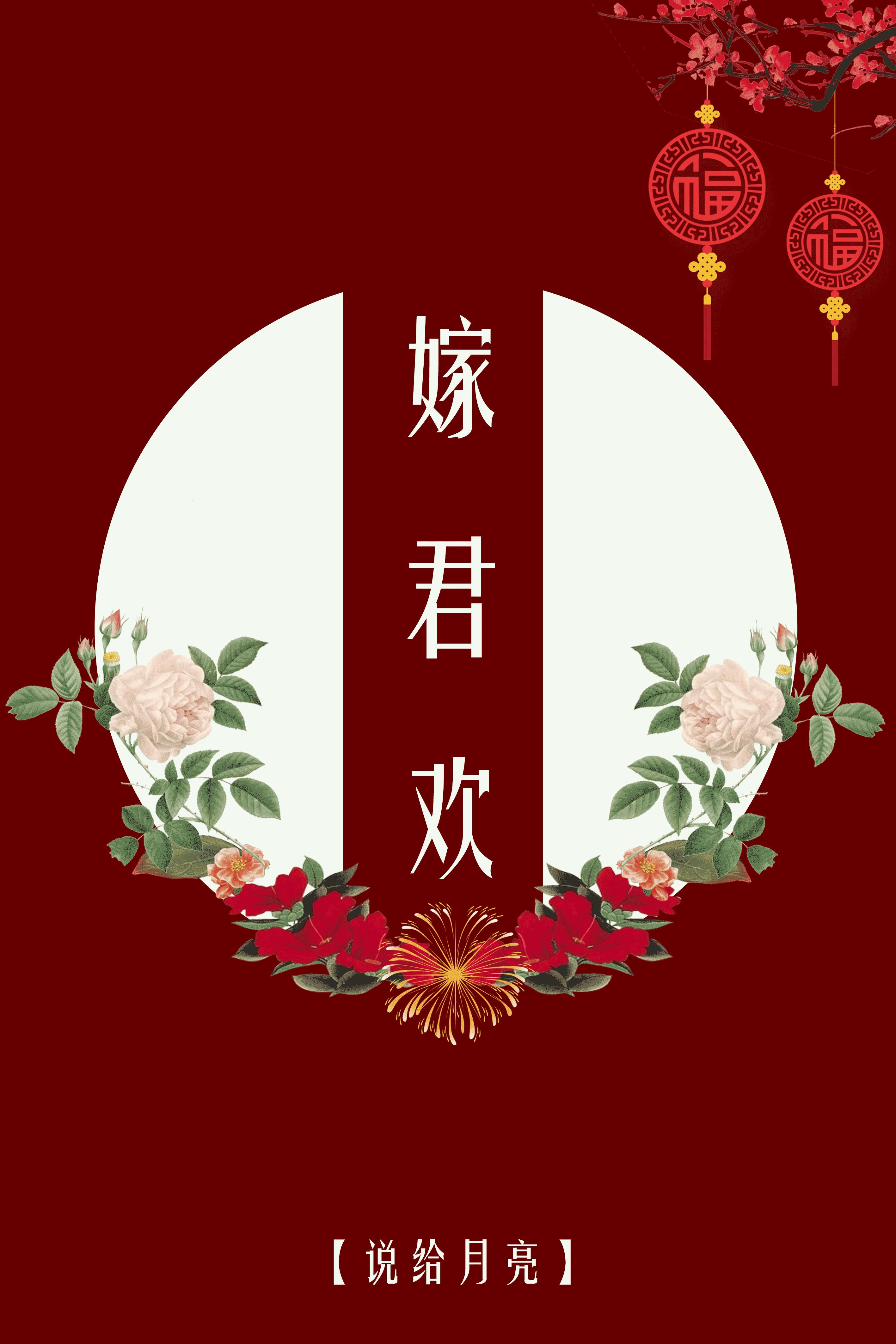 嫁君欢txt说给月亮